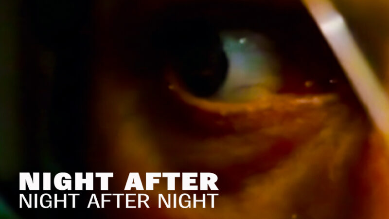Night After Night After Night - Image 2