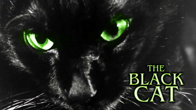 The Black Cat - Image 3